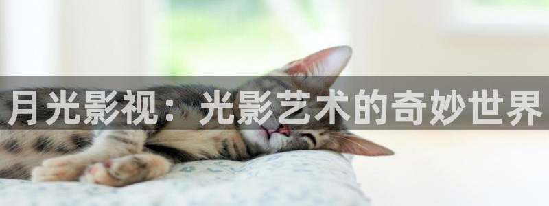极速 影院：月光影视：光影艺术的奇妙世界