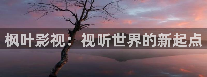 极速影院视频：枫叶影视：视听世界的新起点