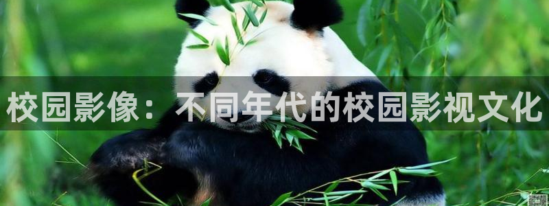 极速影院6080：校园影像：不同年代的校园影视文化