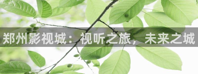 沉香如屑极速影院：郑州影视城：视听之旅，未来之城