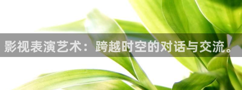 极速影院在线高清播放电视剧：影视表演艺术：跨越时空的对话与交流。