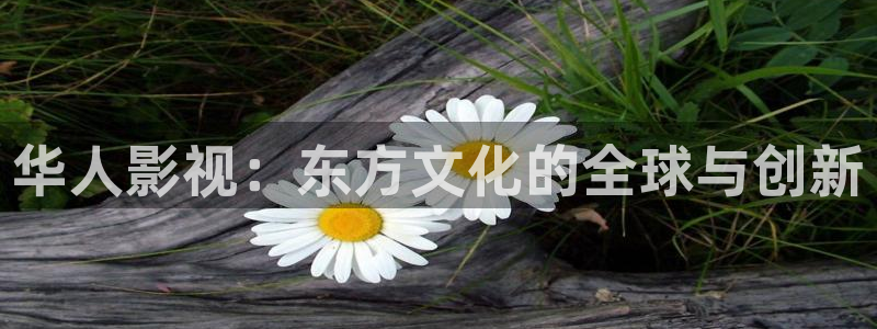 极速影院免费高清版：华人影视：东方文化的全球与创新