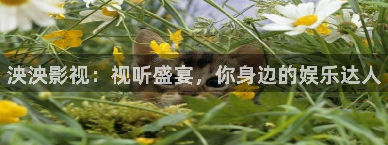 极速影院在线：泱泱影视：视听盛宴，你身边的娱乐达人