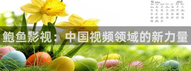 极速影院电视版：鲍鱼影视：中国视频领域的新力量